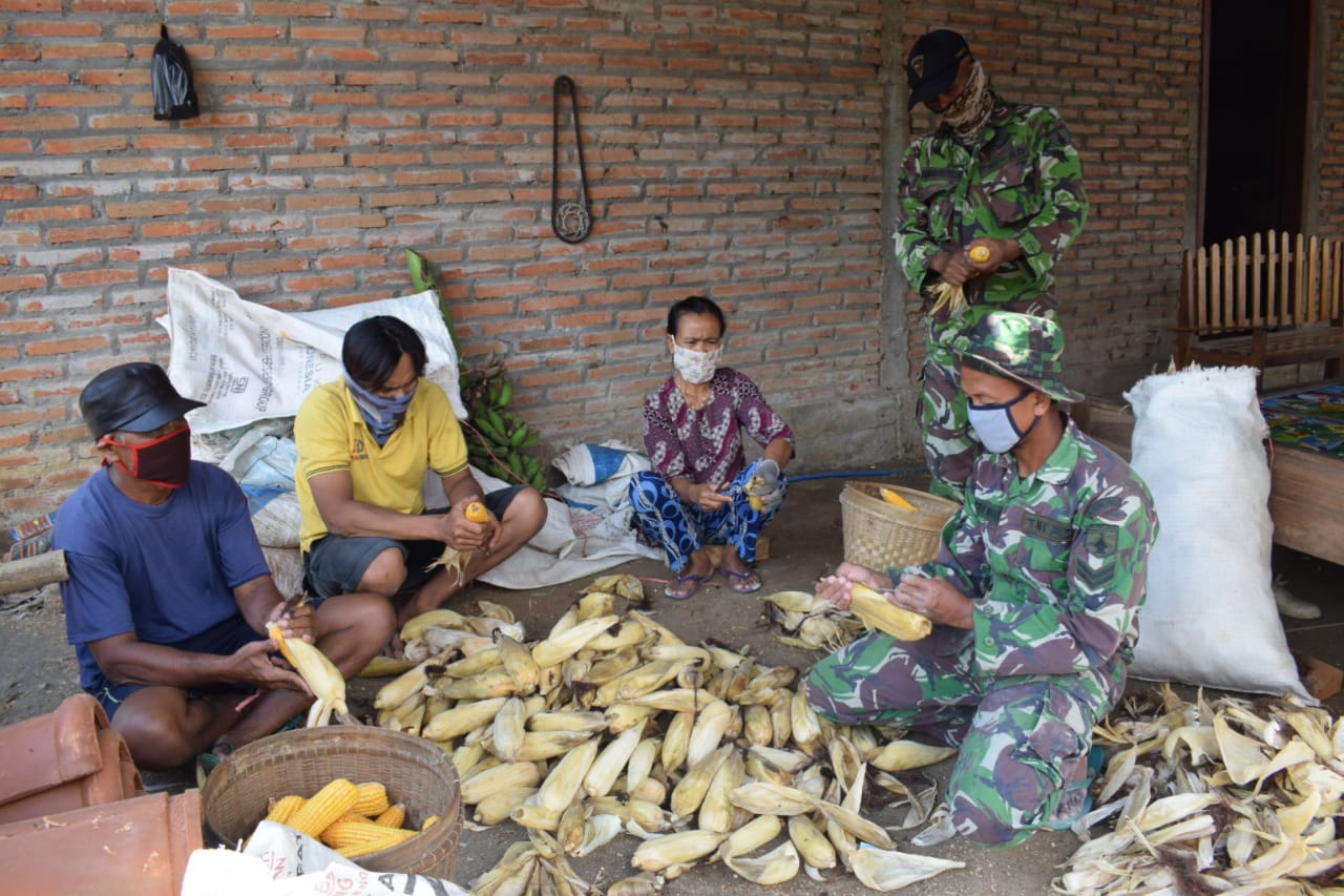 Satgas TMMD 108 Tulungagung, Bantu Warga Ngepoh Kupas Jagung
