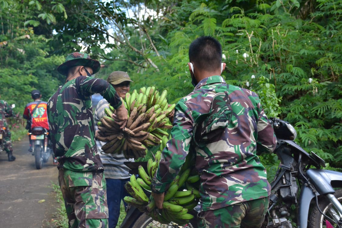 Satgas TMMD sigap Bantu warga Angkut Pisang
