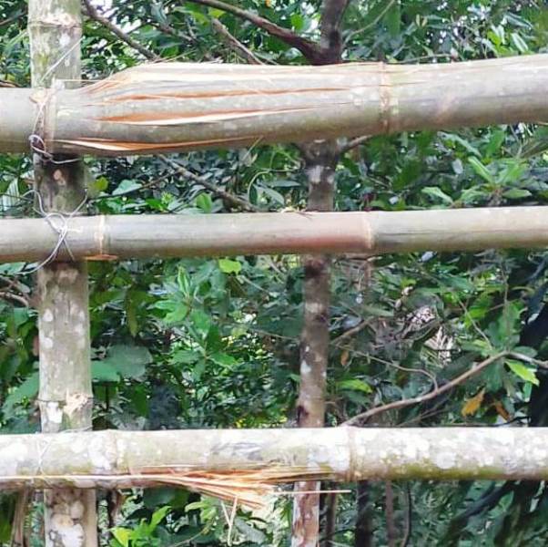 Tanggul Darurat Selamatkan Pemuda Masuk Jurang.
