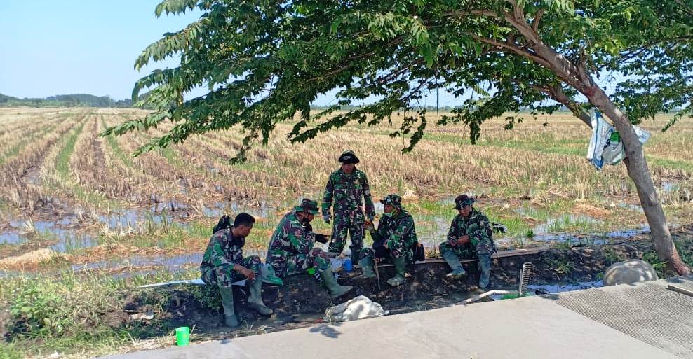 Pohon Ketapang Menjadi Kenanga Para TNI Satgas TMMD Kodim Kendal