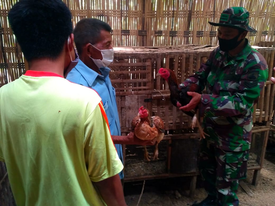Anggota Satgas TMMD Dapat Kenang – Kenangan Ayam Dari Warga