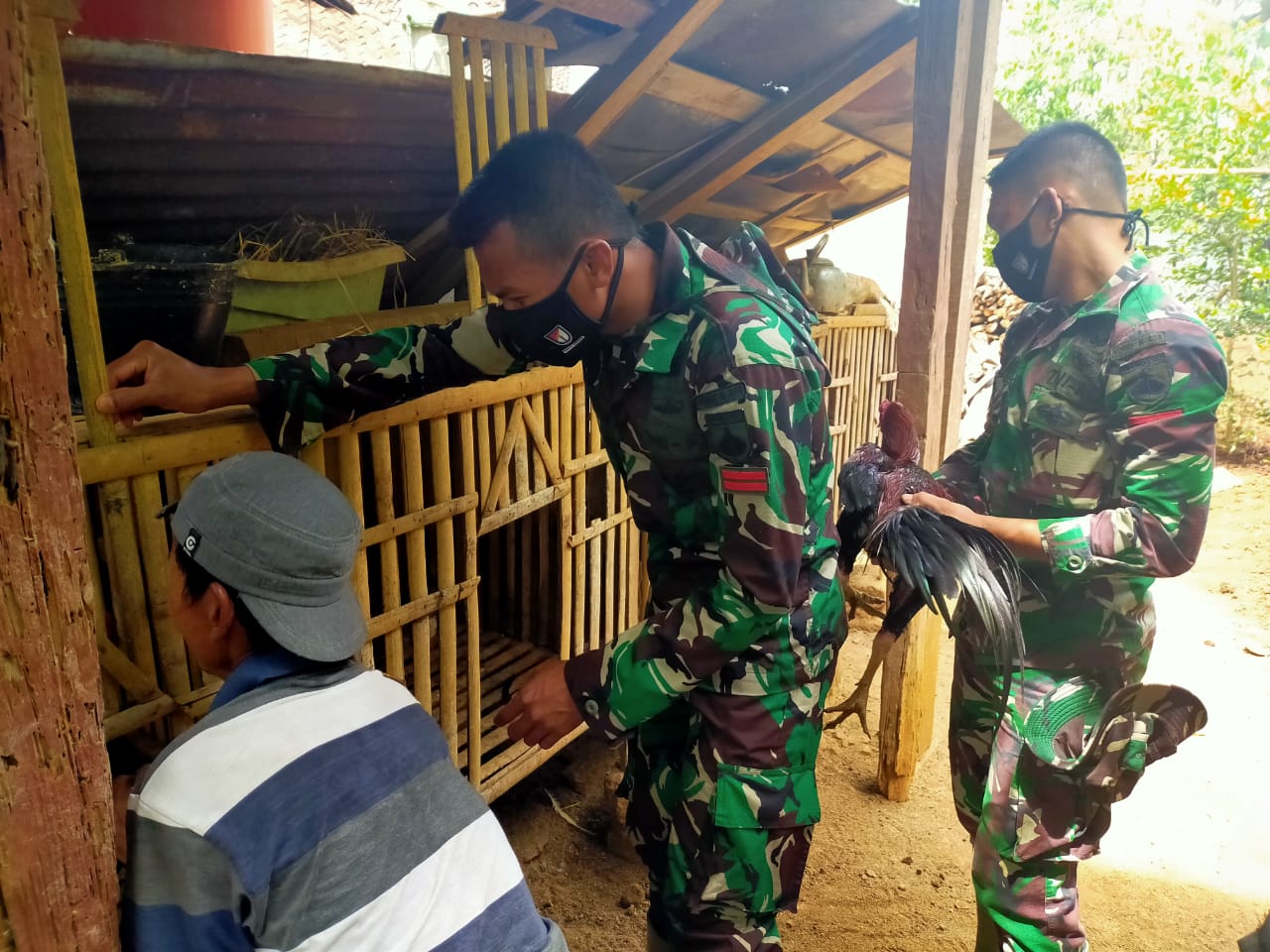 Sugiono Berterima Kasih Kepada Satgas TMMD 109 Karena Di Berikan Ilmu Tentang pengolahan Pupuk organik