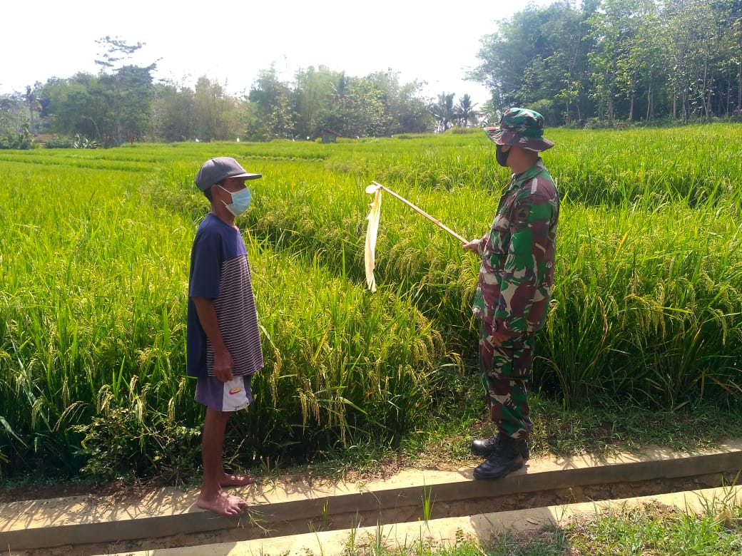 Minta Petuah Petani Sebelum TMMD Reg-109 Karanganyar Usai