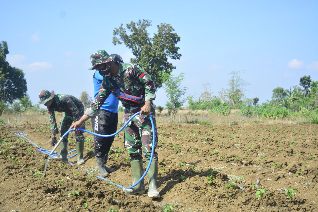 Harmonis, Anggota Satgas Tmmd ke 109 Bersama Petani Siram Tanaman di sawah
