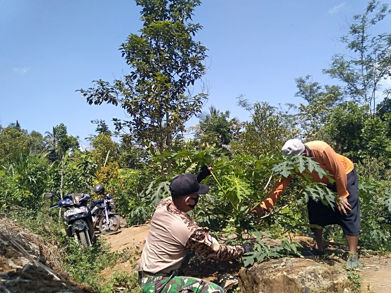 Sektor Pertanian Menggeliat Berkat Program TMMD Reguler ke 109