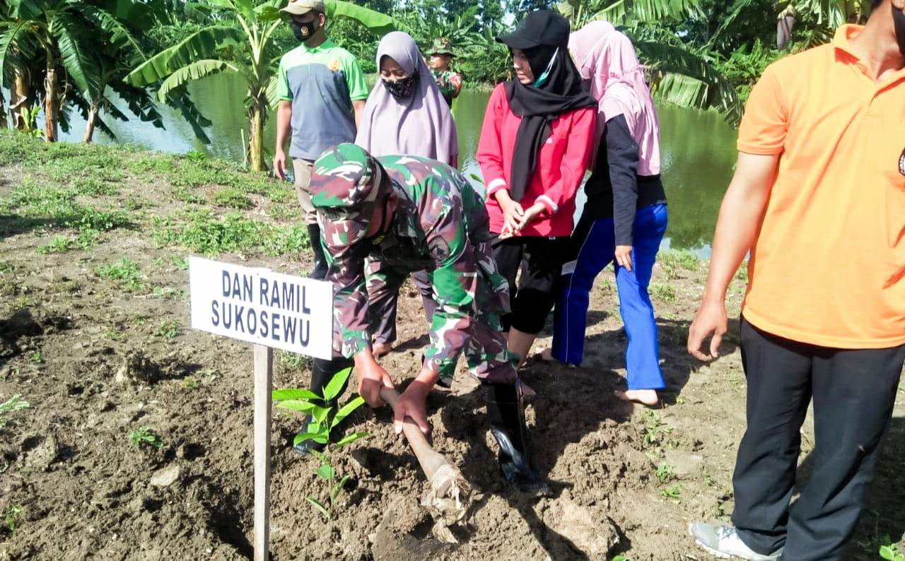 Bersama Masyarakat, Koramil Sukosewu Bojonegoro Tanam Seribu Pohon Penghijauan Diseputaran Embung Buntung