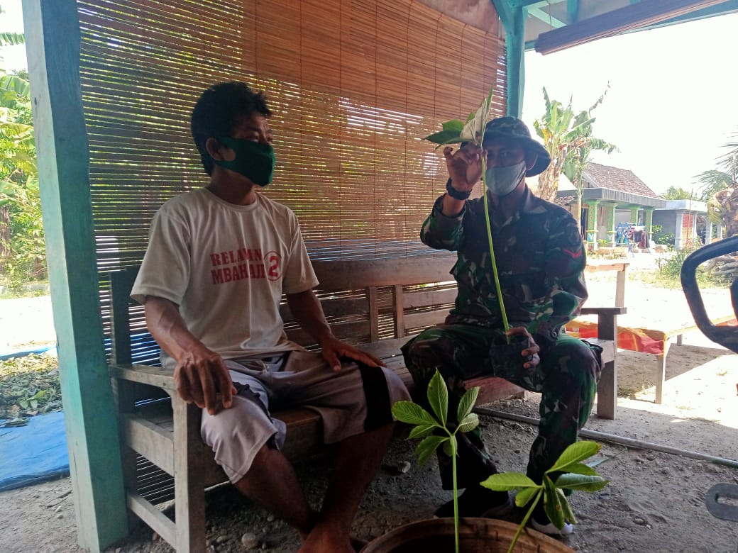 Satgas TMMD Bojonegoro Edukasi Warga Pembudidaya Tanaman Porang