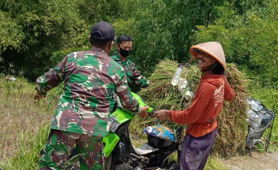 Bantu Jumadi, Ini Yang Dilakukan Anggota Satgas TMMD Bojonegoro