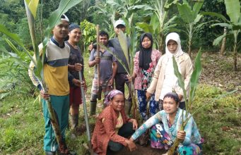 Penanaman 1500 Bibit Pisang Di Desa Baturaja Baru, Sudah Terealisasi