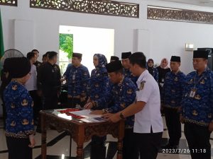 IMG_20230726_111851-300x225