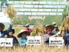 Tingkatkan Produktivitas Pertanian, Pj. Bupati Dukung Percepatan Pembangunan PLTS Irigasi di Ataran Sawah Ulak Himbe