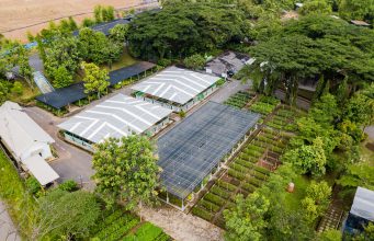 Wujudkan Pertambangan Berkelanjutan, Bukit Asam Dukung Program Net Zero Emission 2060