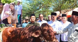 Bupati Bursah Zarnubi Perearat Silahturahmi dan Kebersamaan, Serahkan Hewan Qurban