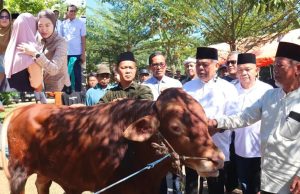 Bupati Bursah Zarnubi Perearat Silahturahmi dan Kebersamaan, Serahkan Hewan Qurban