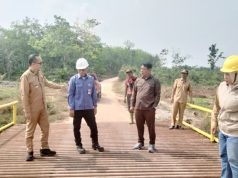 Jembatan Besi Rampung, Warga Babat Supat Tak Lagi Lewati Batang Kelapa
