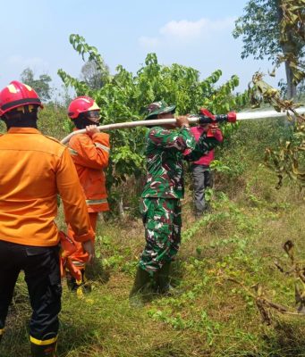 Kesekian Kalinya Karhutla Terjadi di Muba, BPBD Selalu Siaga Padamkan Api